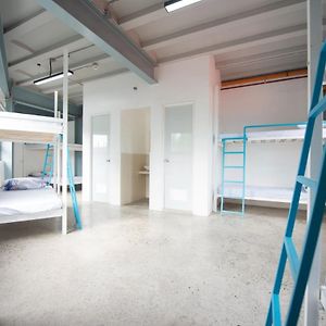 8-Bed Mixed Dormitory Room
