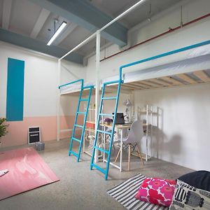 Bunk Bed Mixed Dormitory Room